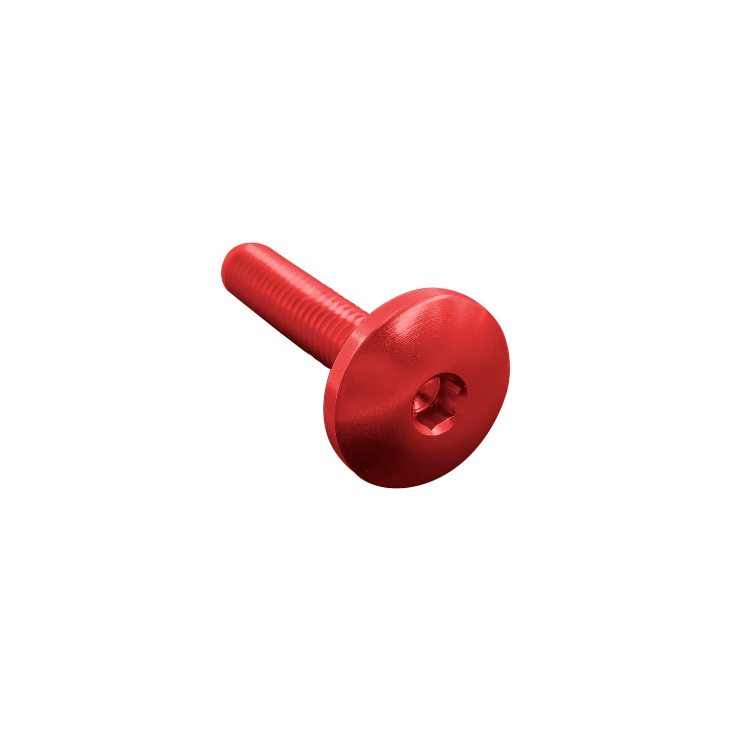 Vite Testa Bombata Erg. Cl 003 M8 L. 15 Testa Ø22 Ergal (7075 T6)