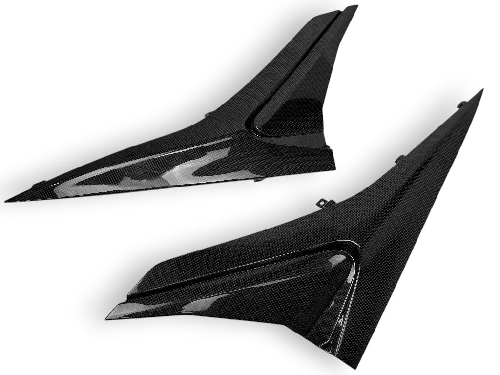 CARBON-SEITENTEILE APRILIA RS 660 TUONO 660 2020 2021 2022 2023 2024 2025