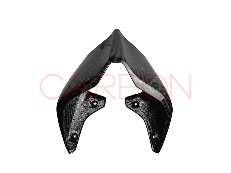 CARENAGE ARRIÈRE SELLE EN CARBONE DUCATI STREETFIGHTER V4 2020 / 2021 / 2022 / 2023