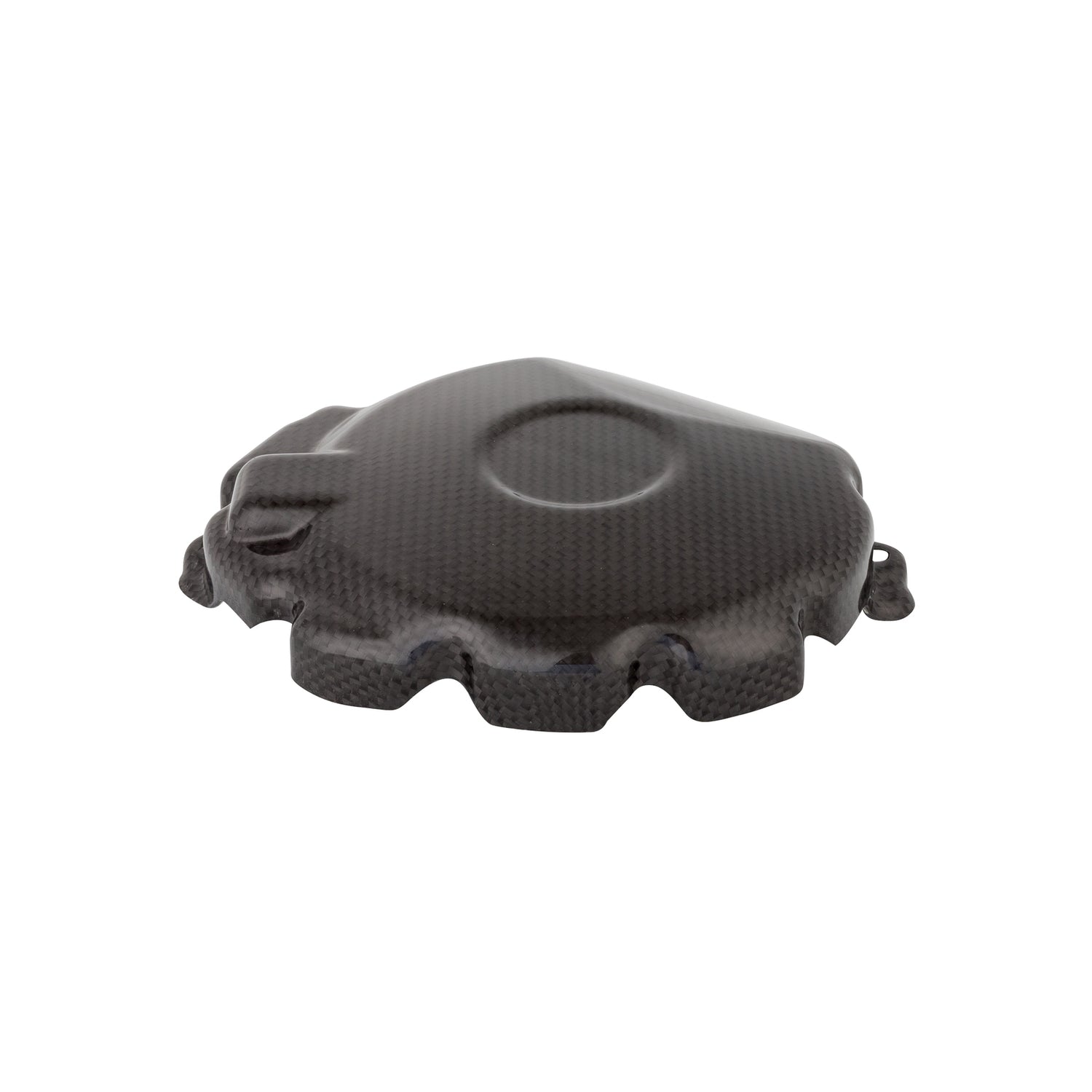 Coperchio Alternatore In Carbonio
