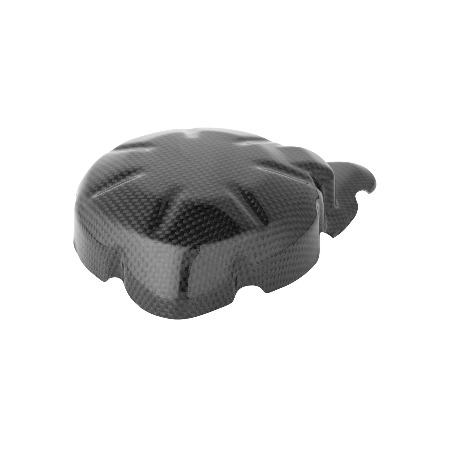 Coperchio Alternatore In Carbonio
