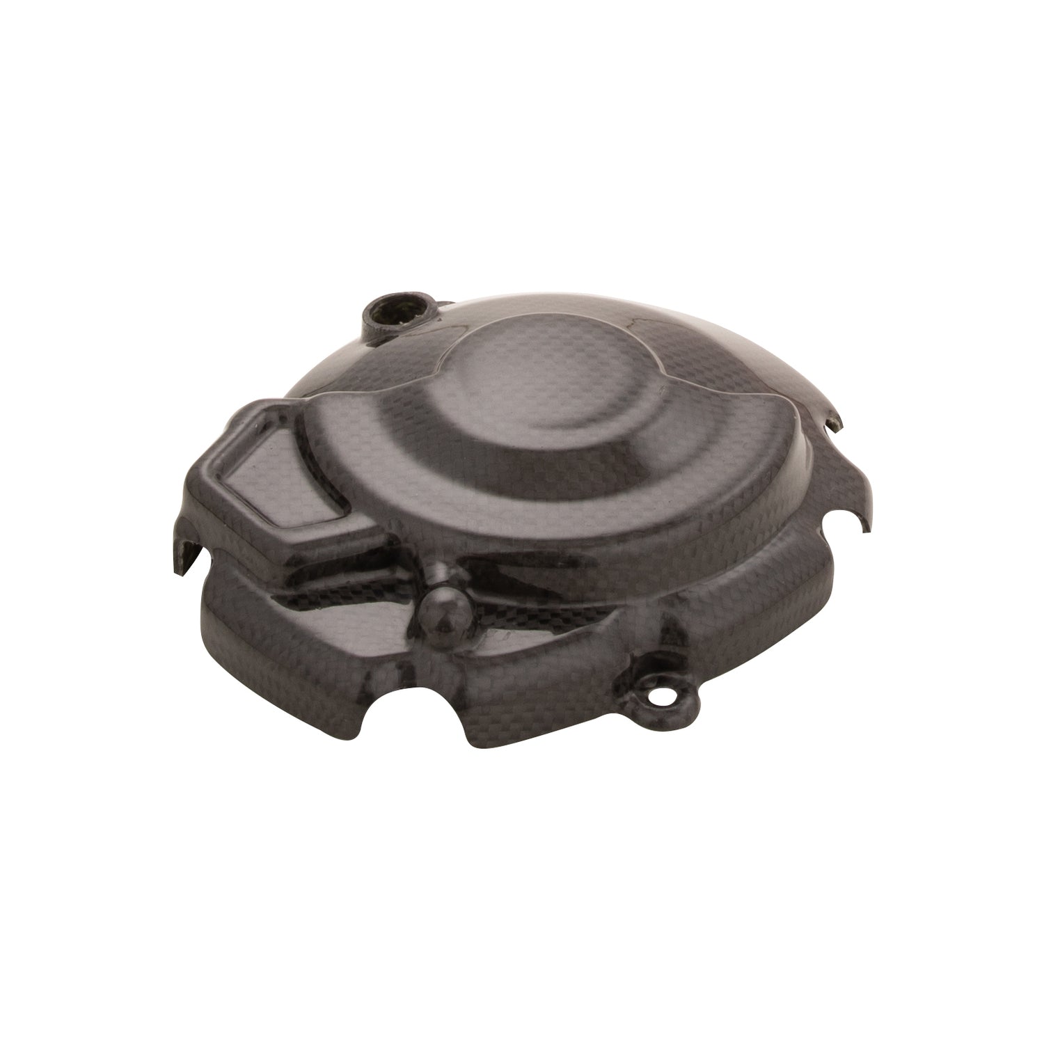 Coperchio Alternatore In Carbonio