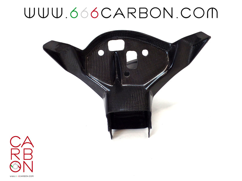 CONDOTTO ARIA + TELAIETTO CARBONIO BMW S 1000 RR 2015-18