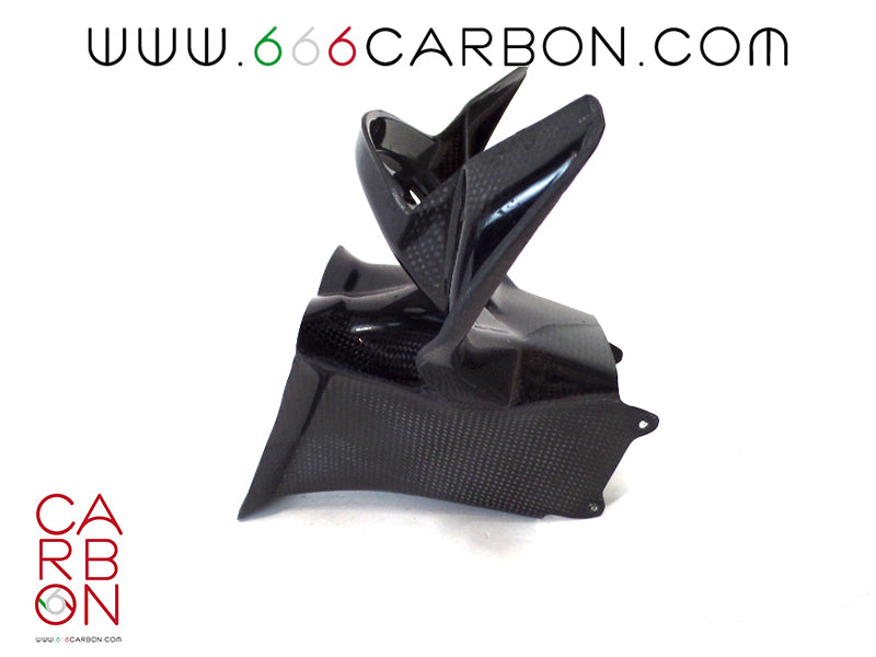 CONDOTTO ARIA + TELAIETTO CARBONIO BMW S 1000 RR 2015-18