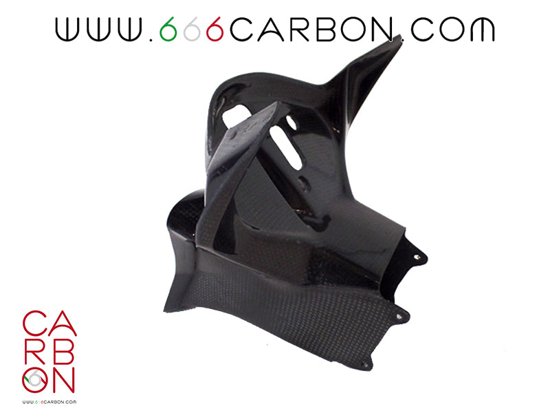 CONDOTTO ARIA + TELAIETTO CARBONIO BMW S 1000 RR 2015-18