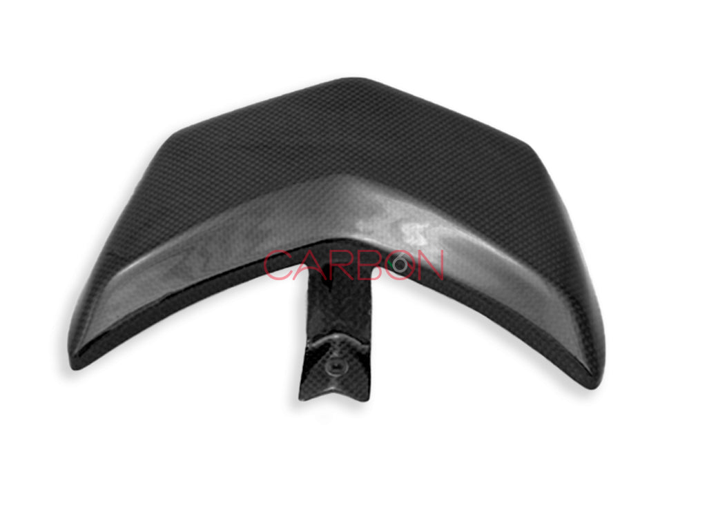 HINTERER OBERER HECK CARBON AUTOKLAVE DUCATI HYPERMOTARD 796 1100 1100S 1100EVO 1100EVO SP