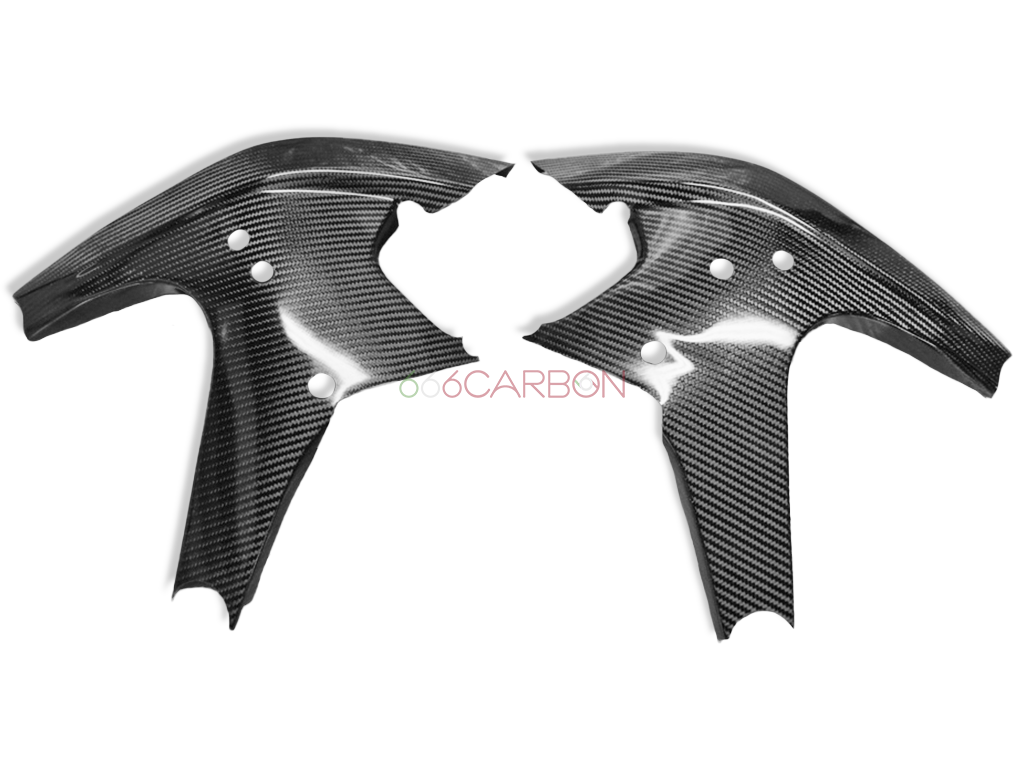 SEITENRAHMENABDECKUNG | KOHLENSTOFFAUTOKLAV | DUCATI PANIGALE V4 / V4S / V4R / Tricolore 2025