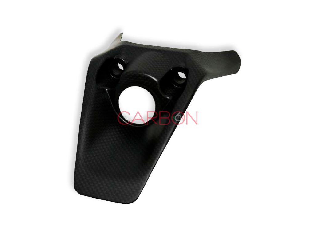 COPRI ACCENSIONE CARBONIO PLAIN AUTOCLAVE DUCATI MONSTER 821 1200 1200S 1200R