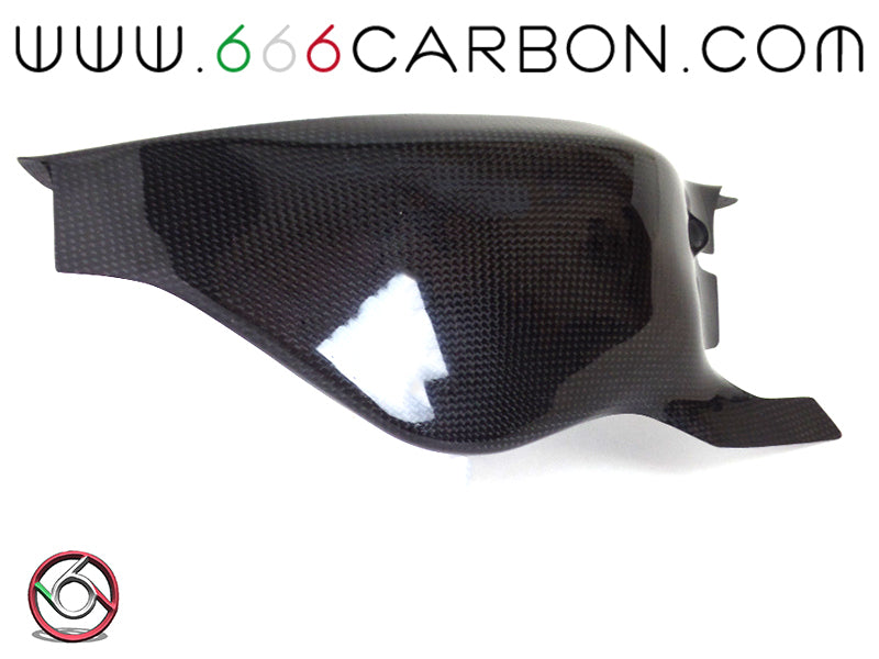 CACHE BRAS OSCILLANT LONG CARBONE DUCATI 748-916-996-998