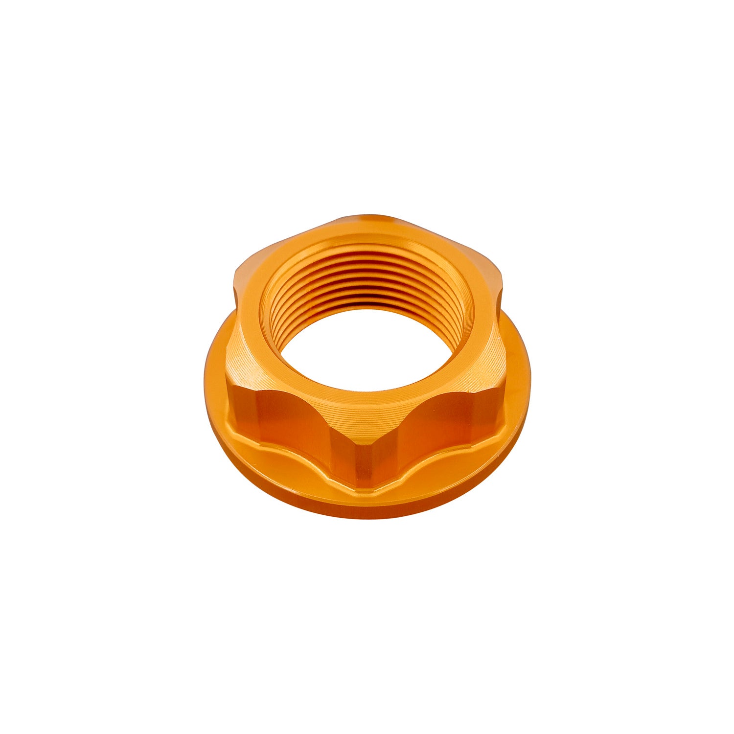 Dado Speciale 24 X 1,50 Ergal
