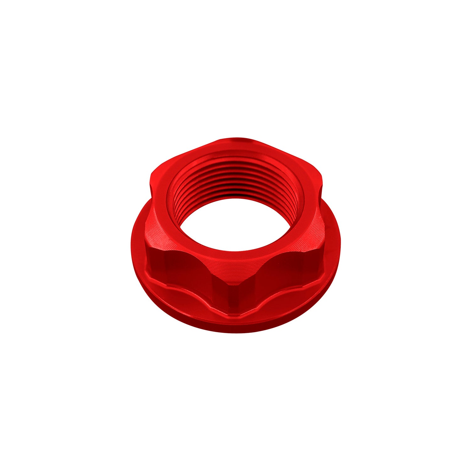 Dado Speciale 24 X 1,50 Ergal