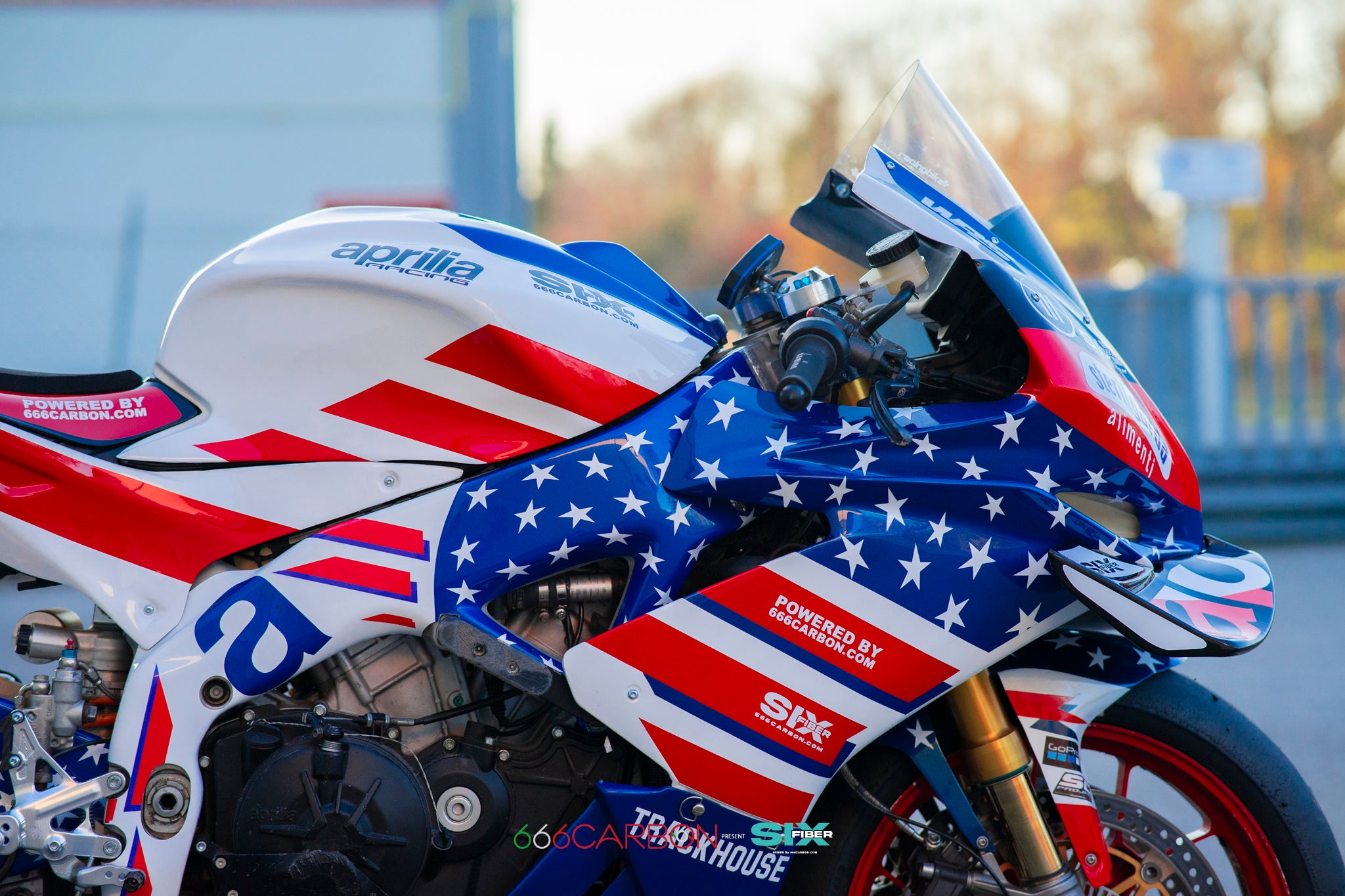 CUBIERTAS GRANDES DE CHASIS DE CARBONO PINTADO APRILIA RSV4 2009-2024 / TUONO V4 2010-2025