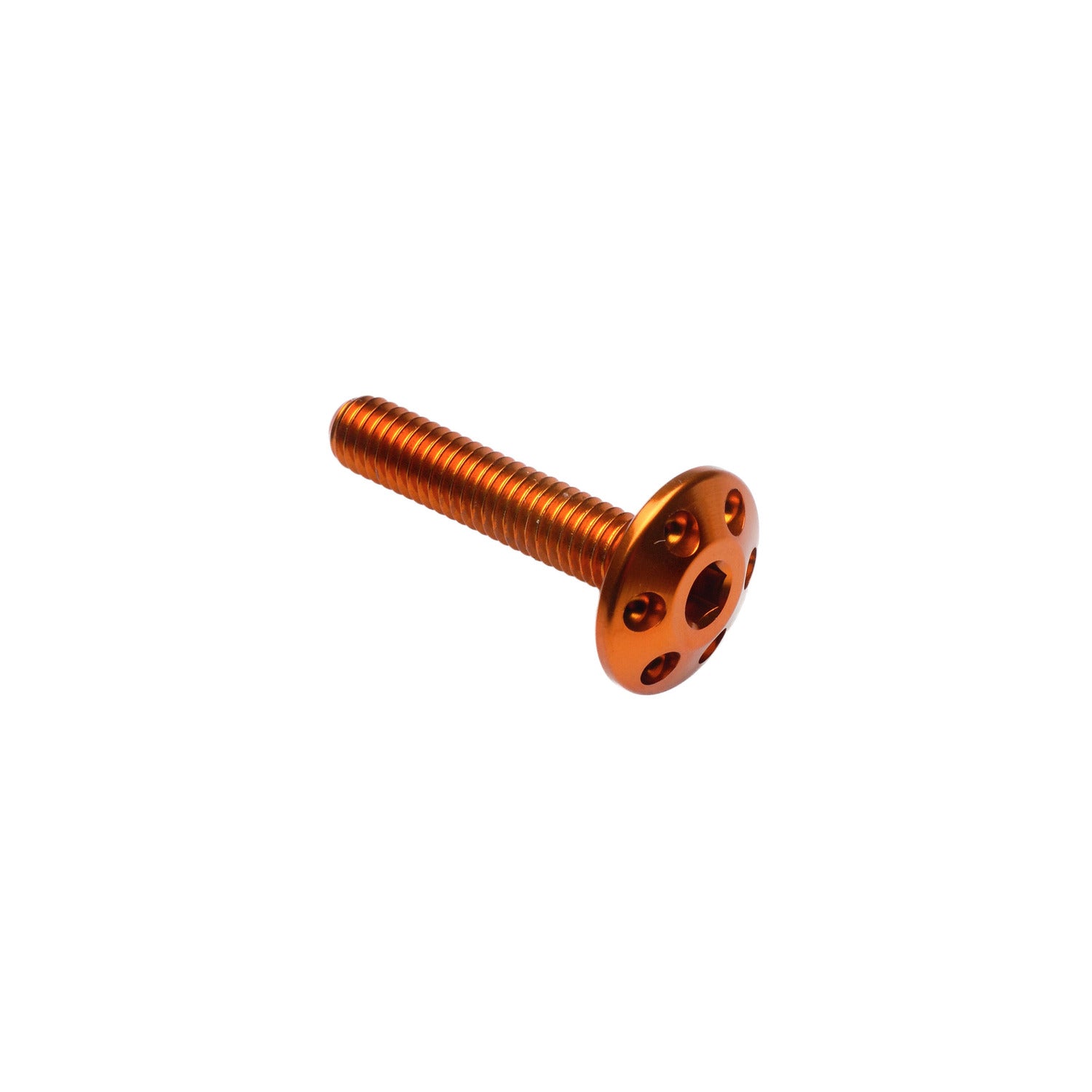 Vite Forata M6 X 15