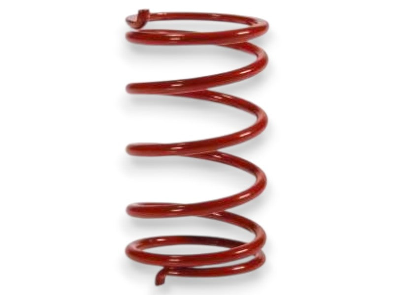 Malossi Molla di Contrasto Variatore Rossa 29 7087 R0 per Piaggio Sfera 50 2T e Zip 50