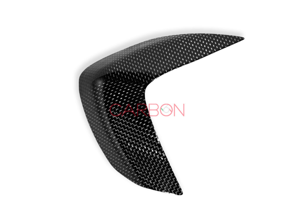 CARBON TANK ECKENSCHUTZ AUTOKLAVE DUCATI HYPERMOTARD 796 1100 1100S 1100EVO 1100EVO SP