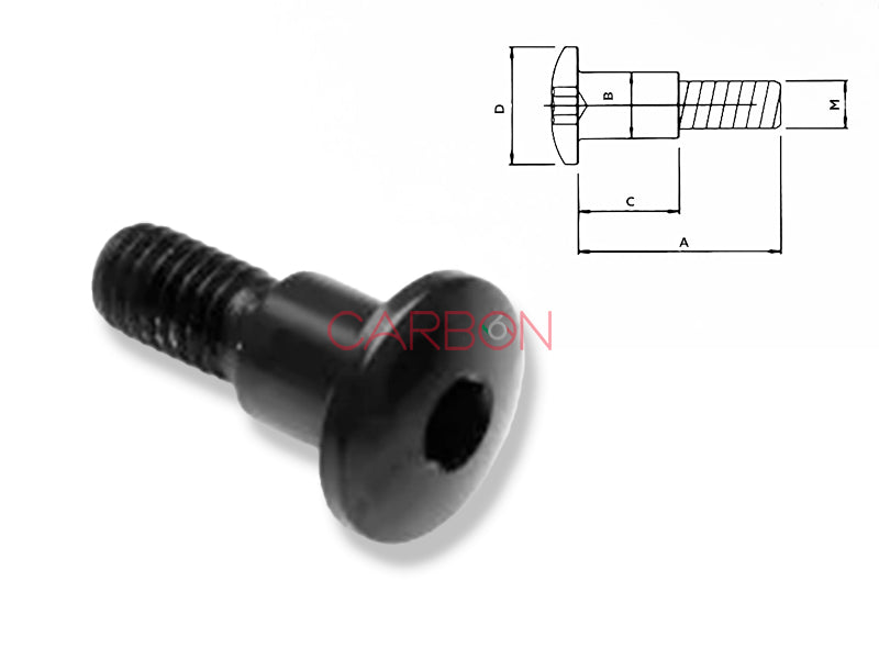 SPEZIALSCHRAUBE ERGAL M5 LIGHTECH