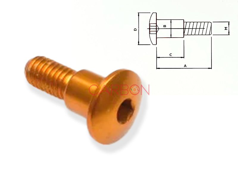 SPECIAL SCREW ERGAL M5 LIGHTECH