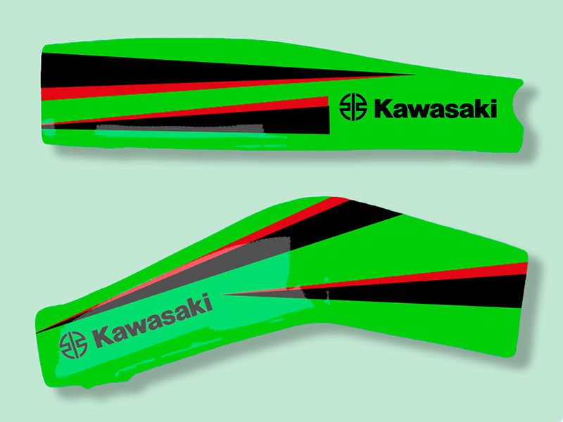 COPRI FORCELLONE CARBONIO VERNICIATO KAWASAKI NINJA ZX-4R 2024-2025