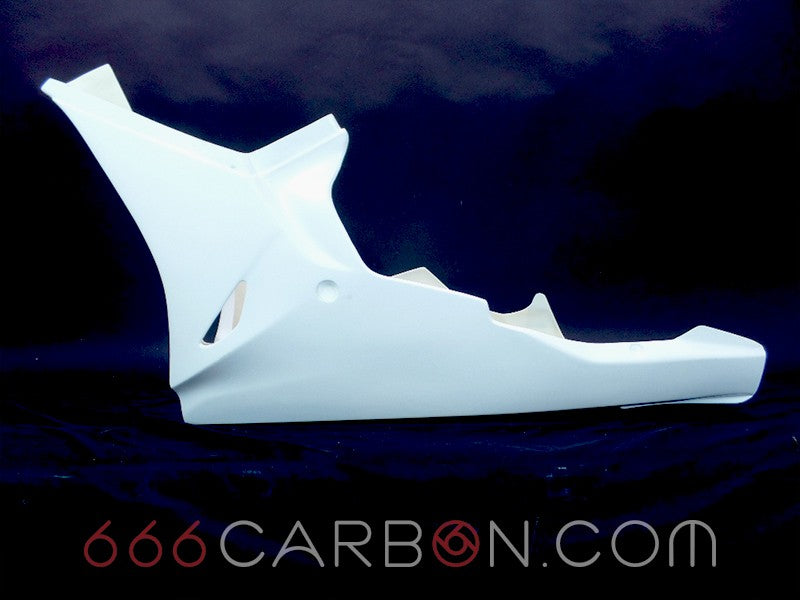 KOMPLETTE FIBERGLAS-RENNVERKLEIDUNG BMW S 1000 RR 2015-18