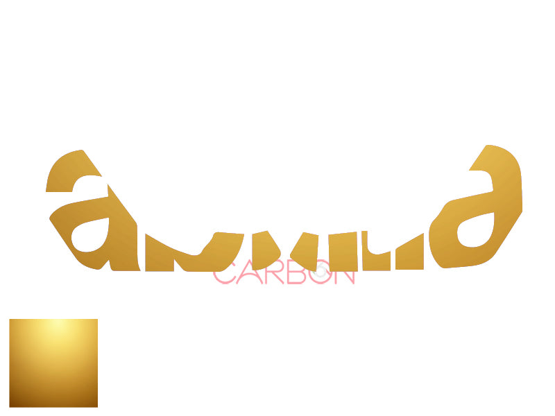 WRITING STICKER STICKER FOR FRONT WING APRILIA RSV4 1100 2021-23