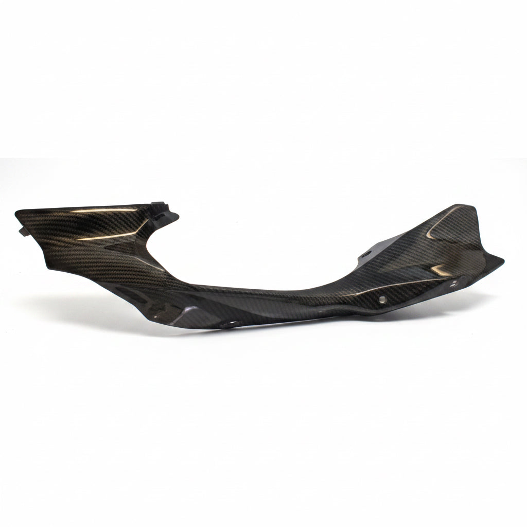 Carena Posteriore Codone Lato Sinistro Ducati PANIGALE V4 R 2026