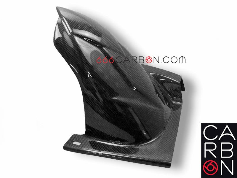 HECKKOTFLÜGEL AUS CARBON KAWASAKI Z-750 2007-2014