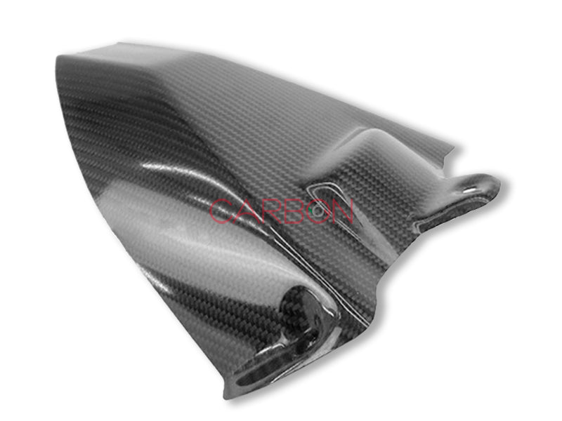 CARBON REAR FENDER BMW S1000RR 2009-2018 - S1000R NAKED