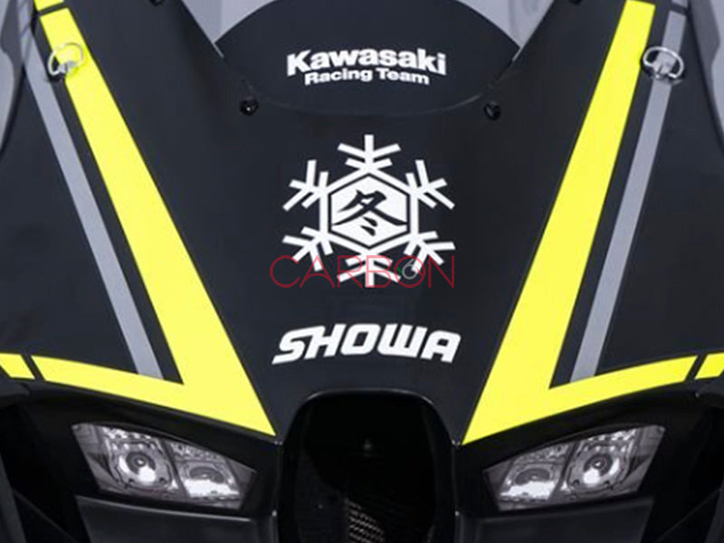 KIT ADESIVI 2 PEZZI MONOCOLORE STICKER SCRITTA LOGO FIOCCO WINTER TEST KAWASAKI TEAM SBK BASSANI