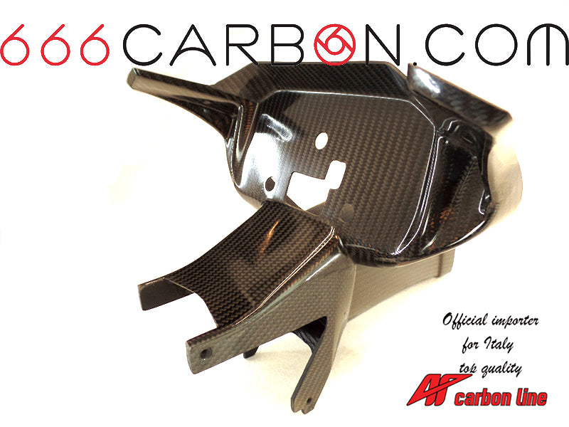 SUPPORT D'INSTRUMENT EN CARBONE AVEC TUYAU D'AIR BMW S1000RR 2019/22