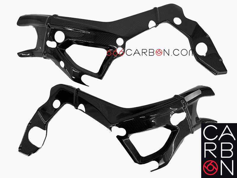 COPRI TELAIO CARBONIO BMW S 1000 RR 2019-23 E S 1000 R NAKED 2021/22