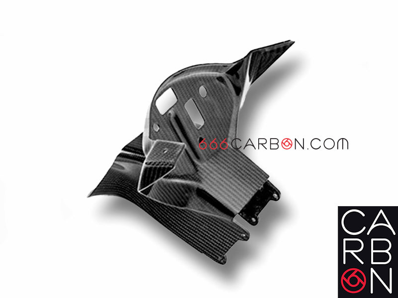 CONDOTTO ARIA + TELAIETTO CARBONIO BMW S 1000 RR 2015-18
