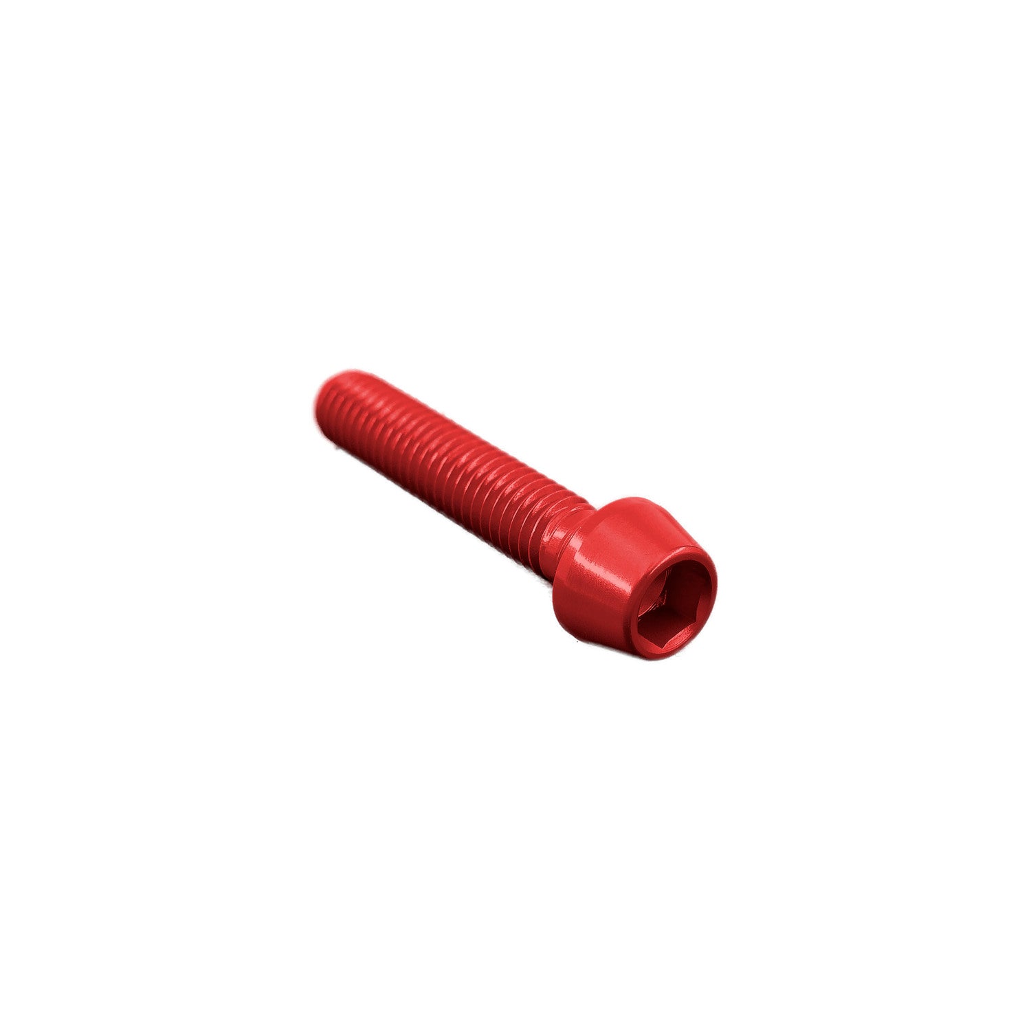 Vite Esagono Inc. Erg. Cl 001 M6 L. 10