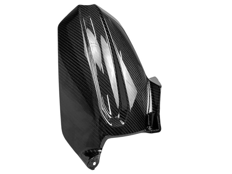 PARAFANGO POSTERIORE CARBONIO AUTOCLAVE PER TRIUMPH SPEED TRIPLE 1200 RR / RS 2020 - 2026