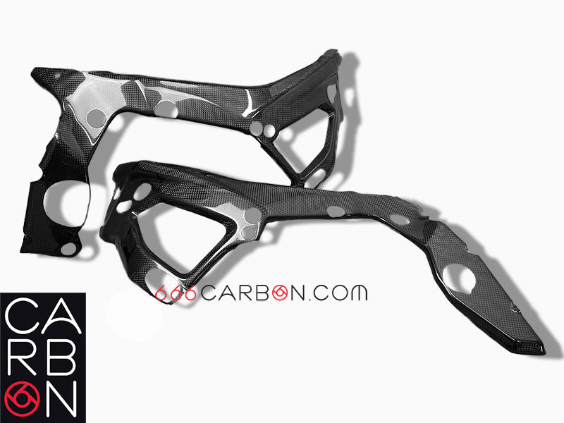 CARBON FRAME COVER BMW S 1000 RR 2019-22 AND S 1000 R NAKED 2021/22