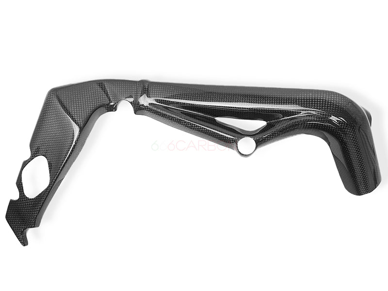 CARBON-RAHMENABDECKUNG TRIUMPH STREET TRIPLE 765 MOTO2