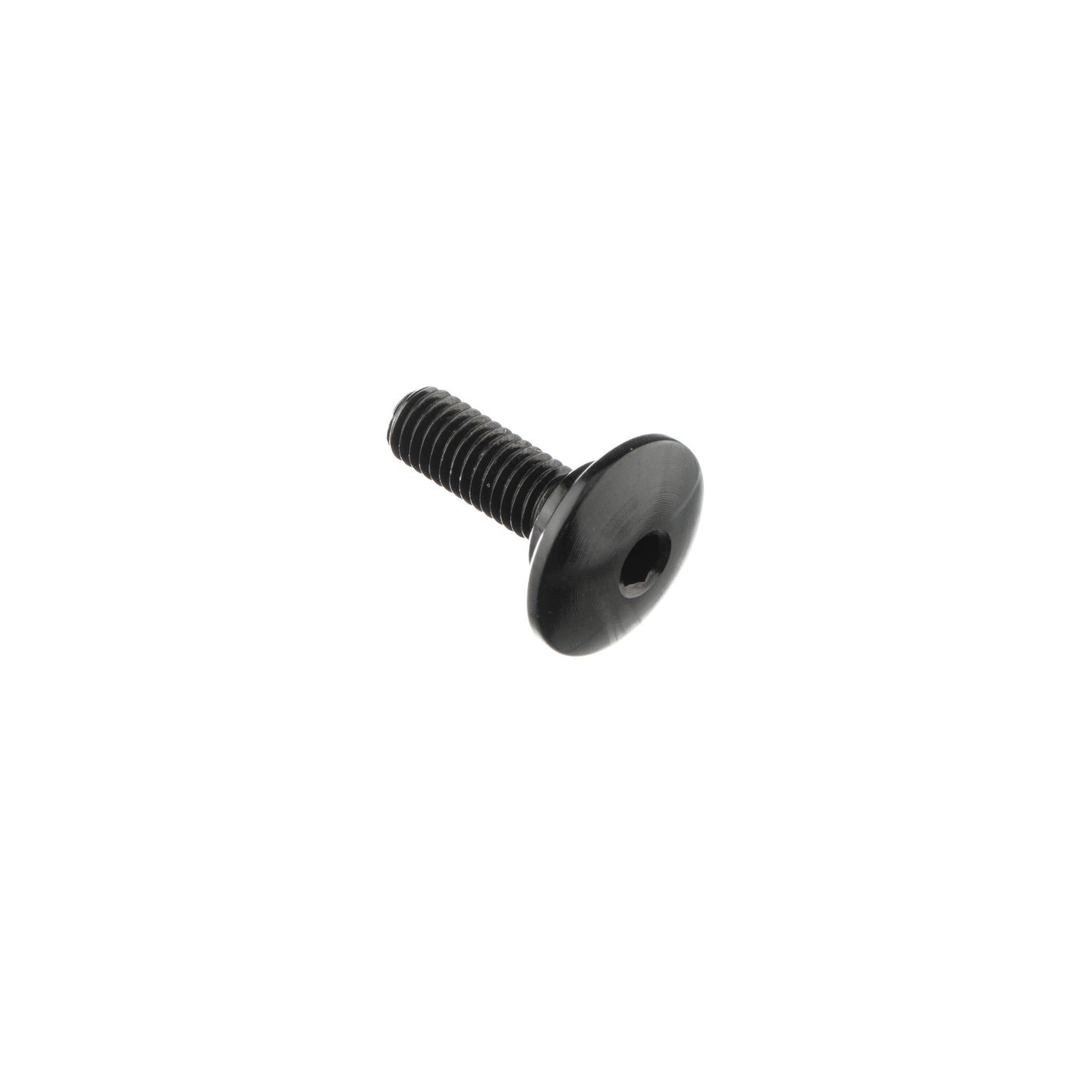 Vite Special M5 X 15,6 + Rib 7,9 X 2,6