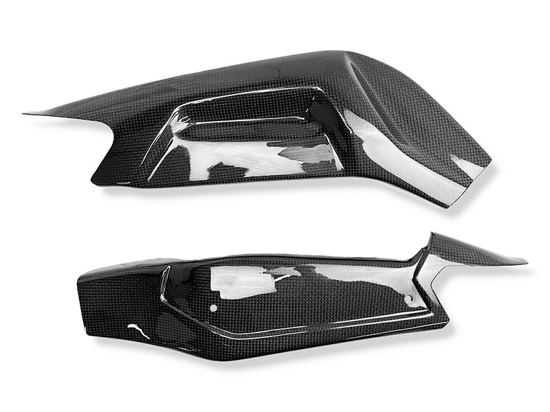 CARBON SWINGARM COVER APRILIA RS 660 TUONO 660 (2020-23)