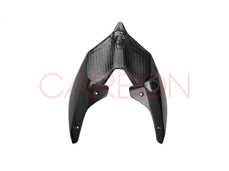 HECKVERKLEIDUNG SITZHECK AUS CARBON DUCATI STREETFIGHTER V4 2020 / 2021 / 2022 / 2023