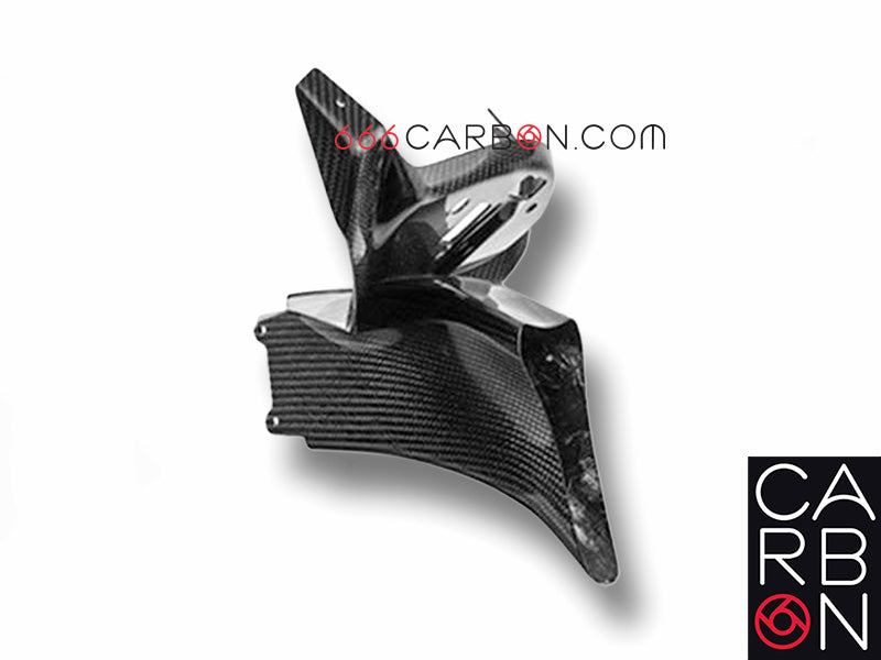 CONDOTTO ARIA + TELAIETTO CARBONIO BMW S 1000 RR 2015-18