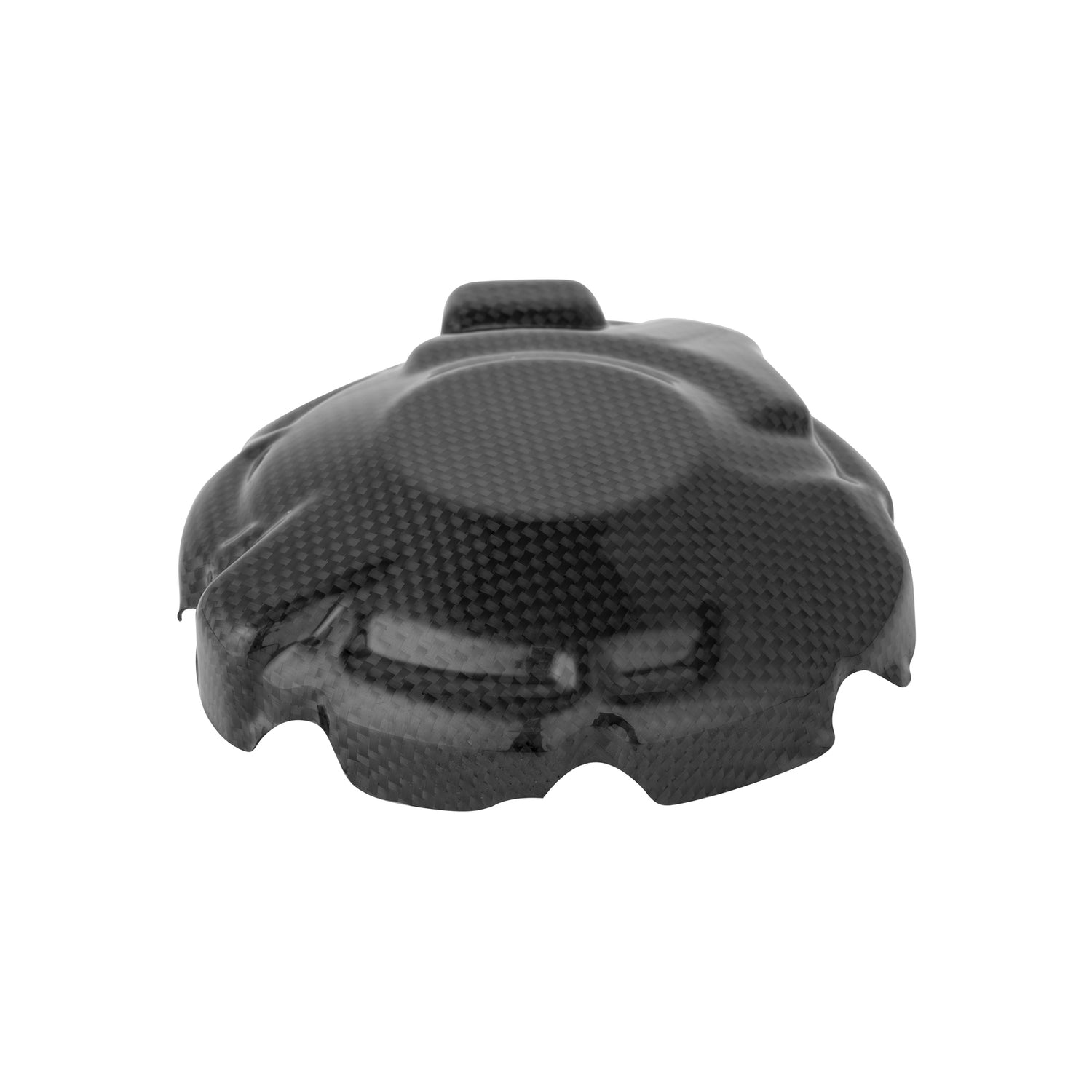 Coperchio Alternatore In Carbonio