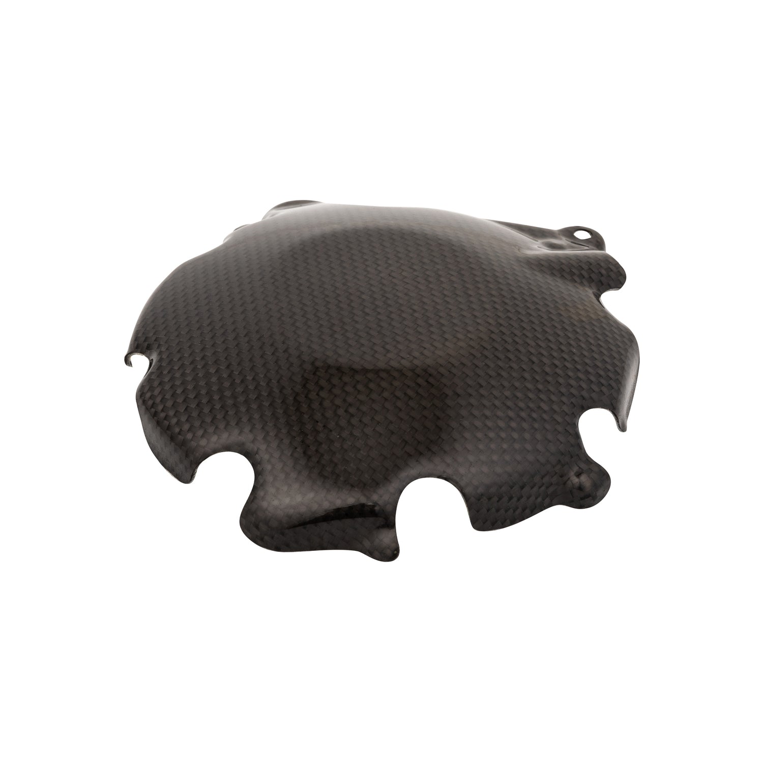 Coperchio Alternator In Carbonio