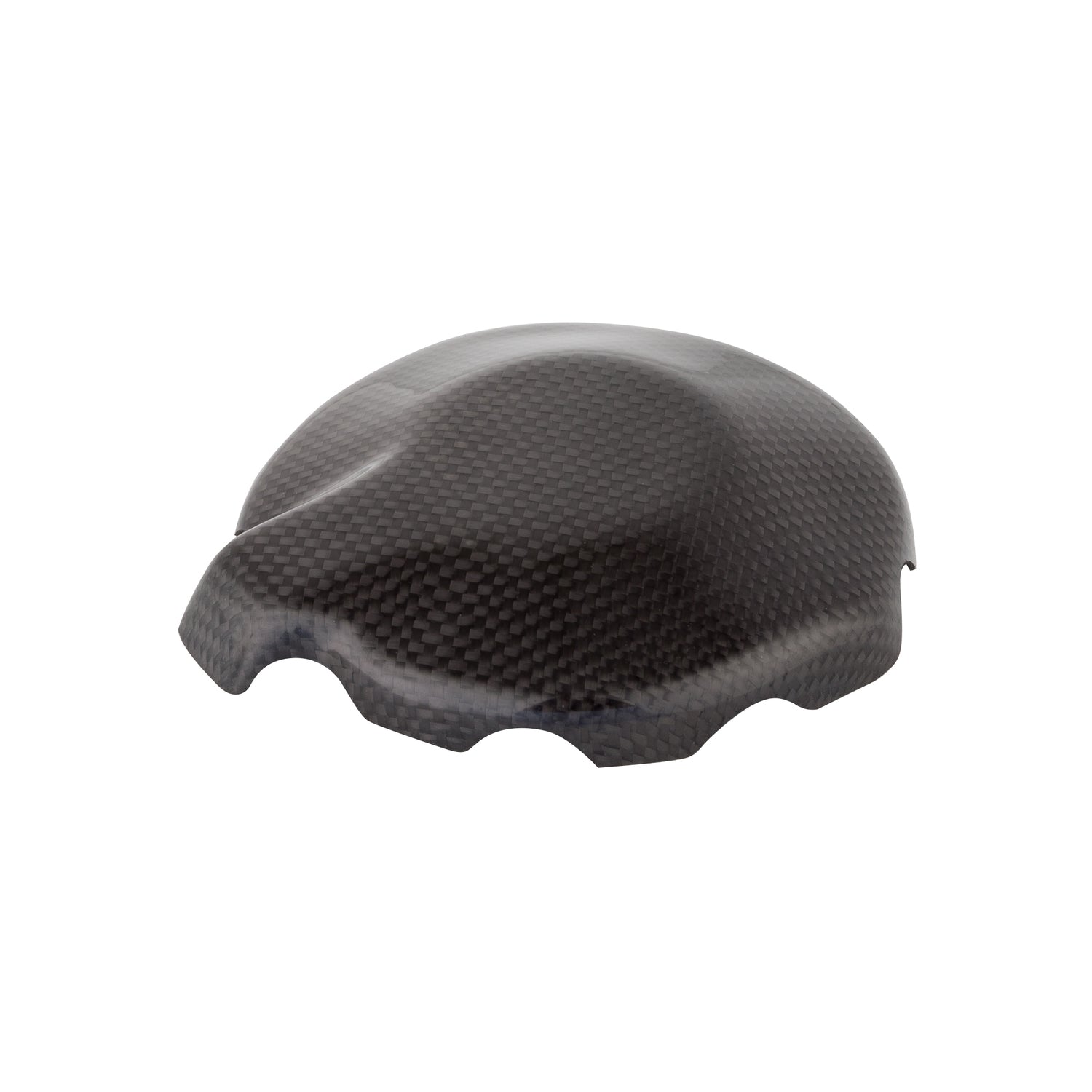 Coperchio Alternatore In Carbonio