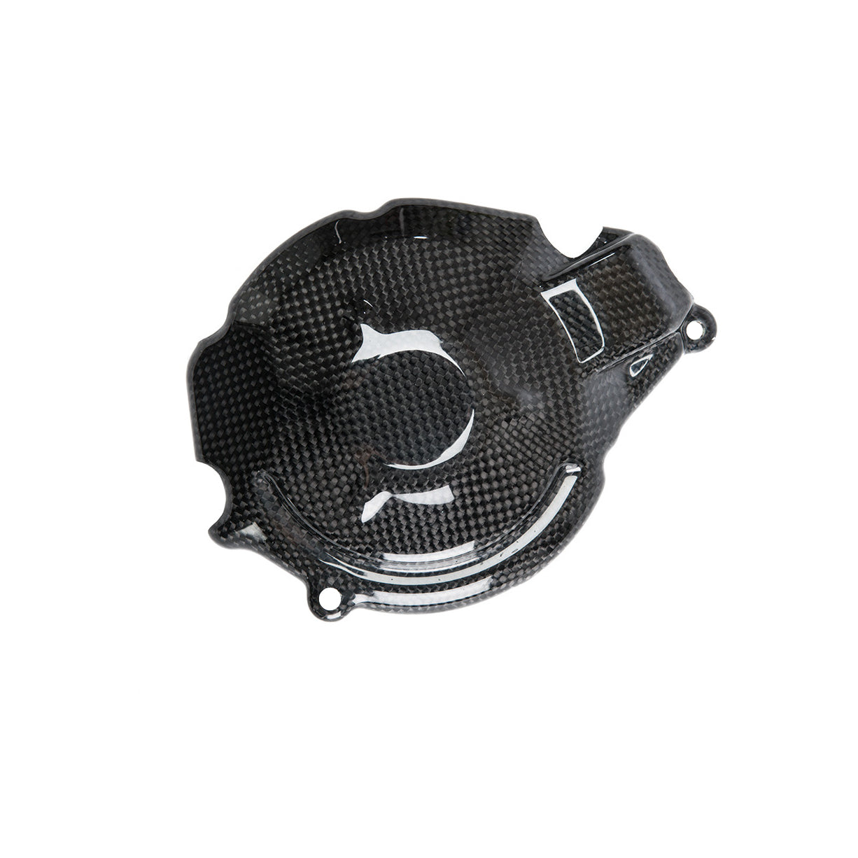 Coperchio Alternatore In Carbonio