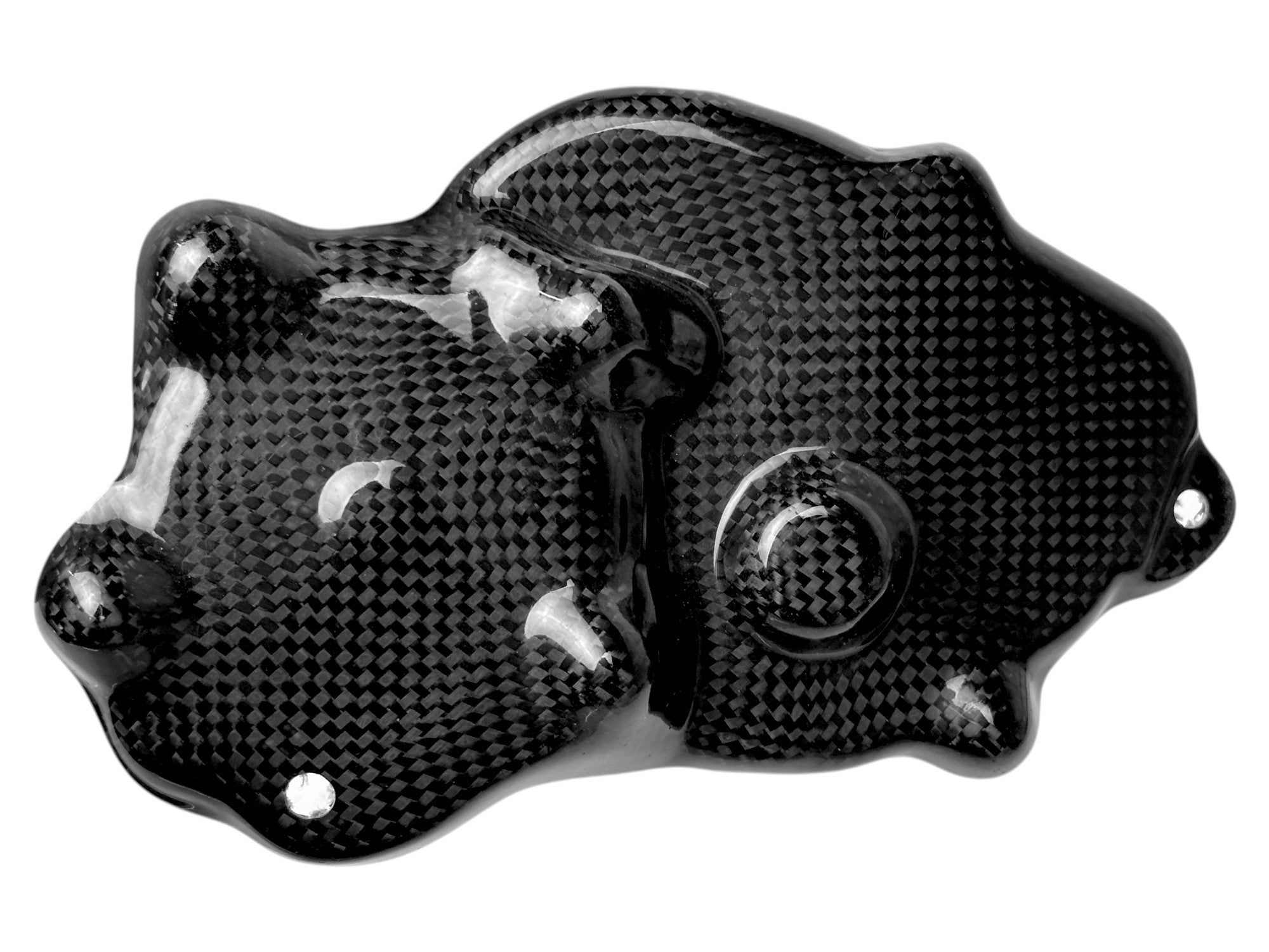CARBON STARTER COVER AUTOCLAVE | FOR KAWASAKI ZX-6R - RR 2007-25 / ZX-