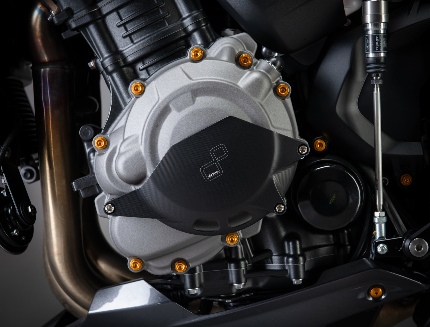 Copri Alternatore Lato Sx