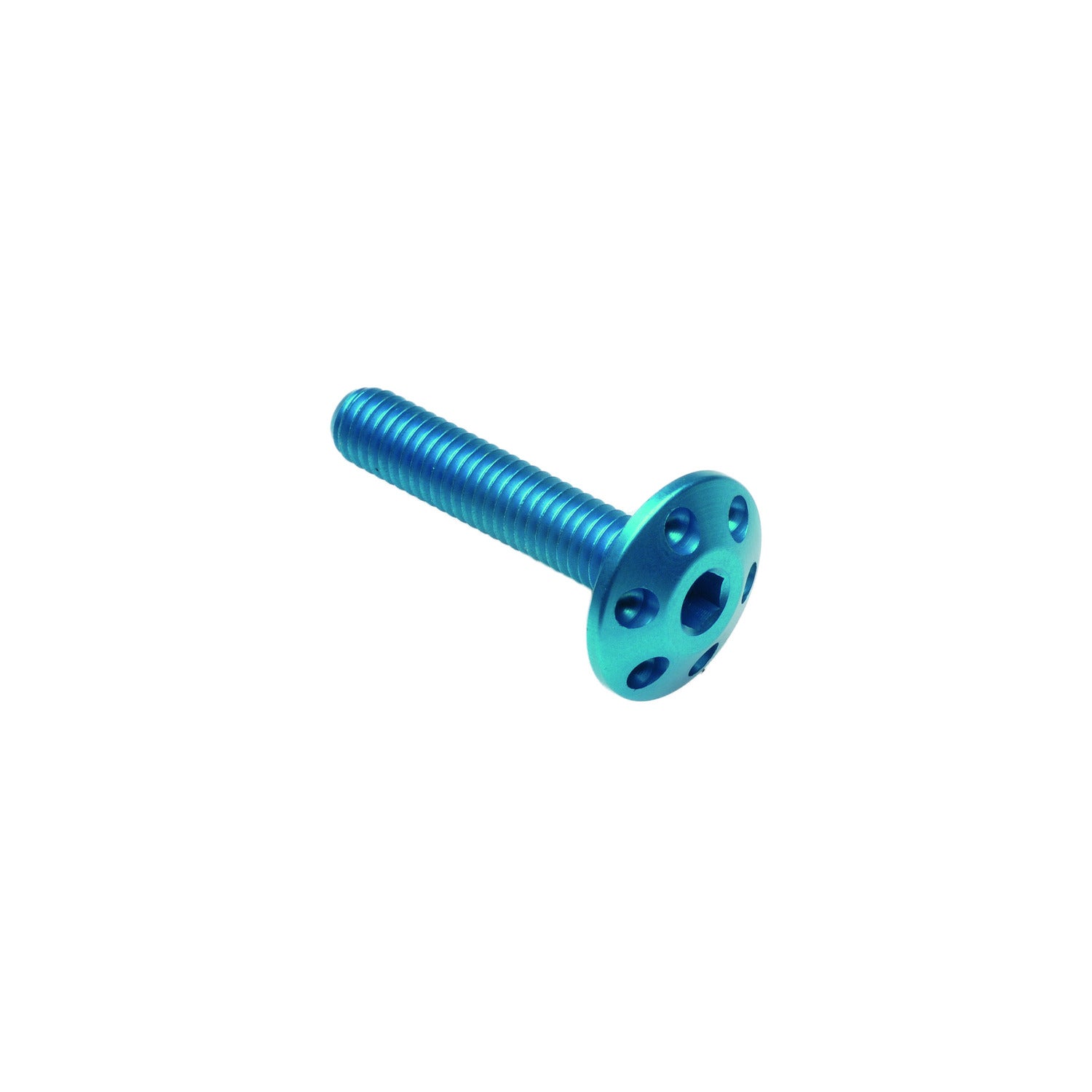Vite Forata M6 X 25