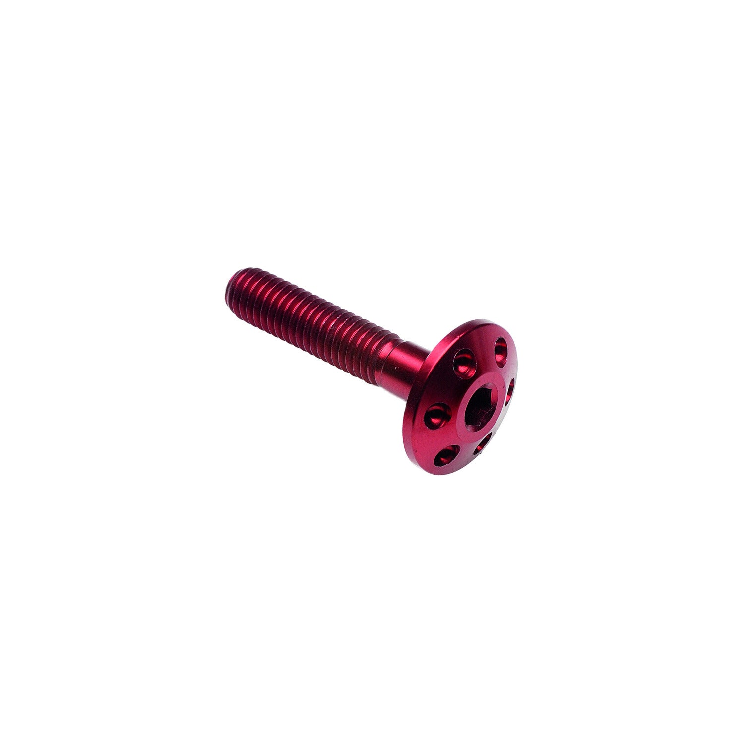 Vite Forata M6 X 30
