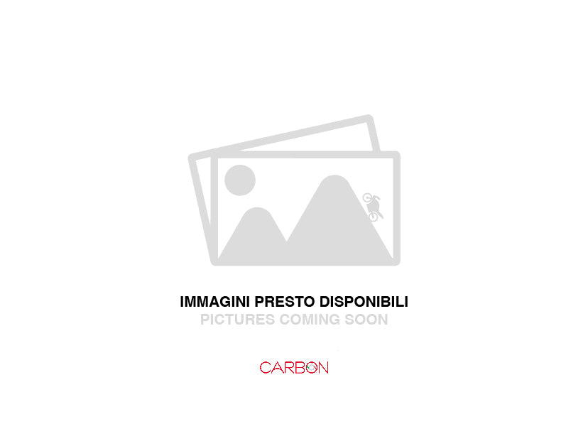 CARTER COPRI PIGNONE CARBONIO AUTOCLAVE DUCATI  MONSTER 821