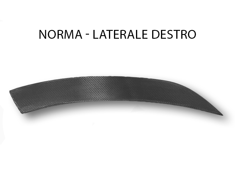 PLT-NORMA DESTRO GREZZO