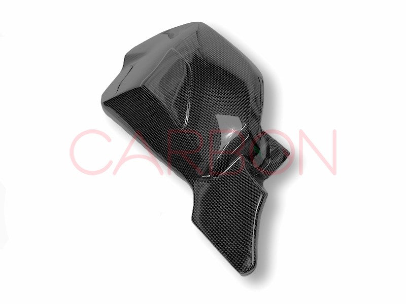 CARBON SWINGARM COVER DUCATI STREETFIGHTER V4 2020 / 2021 / 2022 / 2023